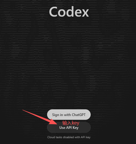 Codex 输入 API Key 和打开 config.toml 的截图